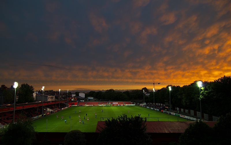 Image of Richmond Park and sunset sky.