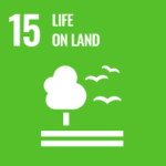 number 15 life on land