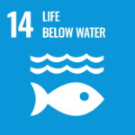 number 14, life below water