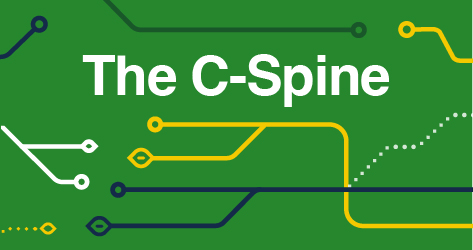 Spine C